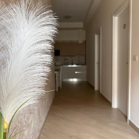 Donnarooms فندق مبيت وإفطار *