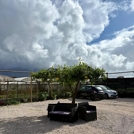 Donnarooms فندق مبيت وإفطار 3*