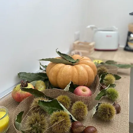 Donnarooms فندق مبيت وإفطار بومبيي