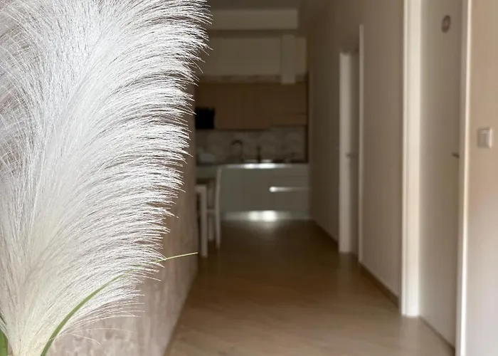 Donnarooms Bed & Breakfast 3*