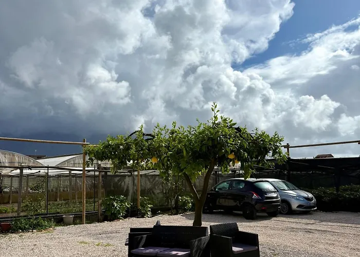 Donnarooms Bed and breakfast 3*